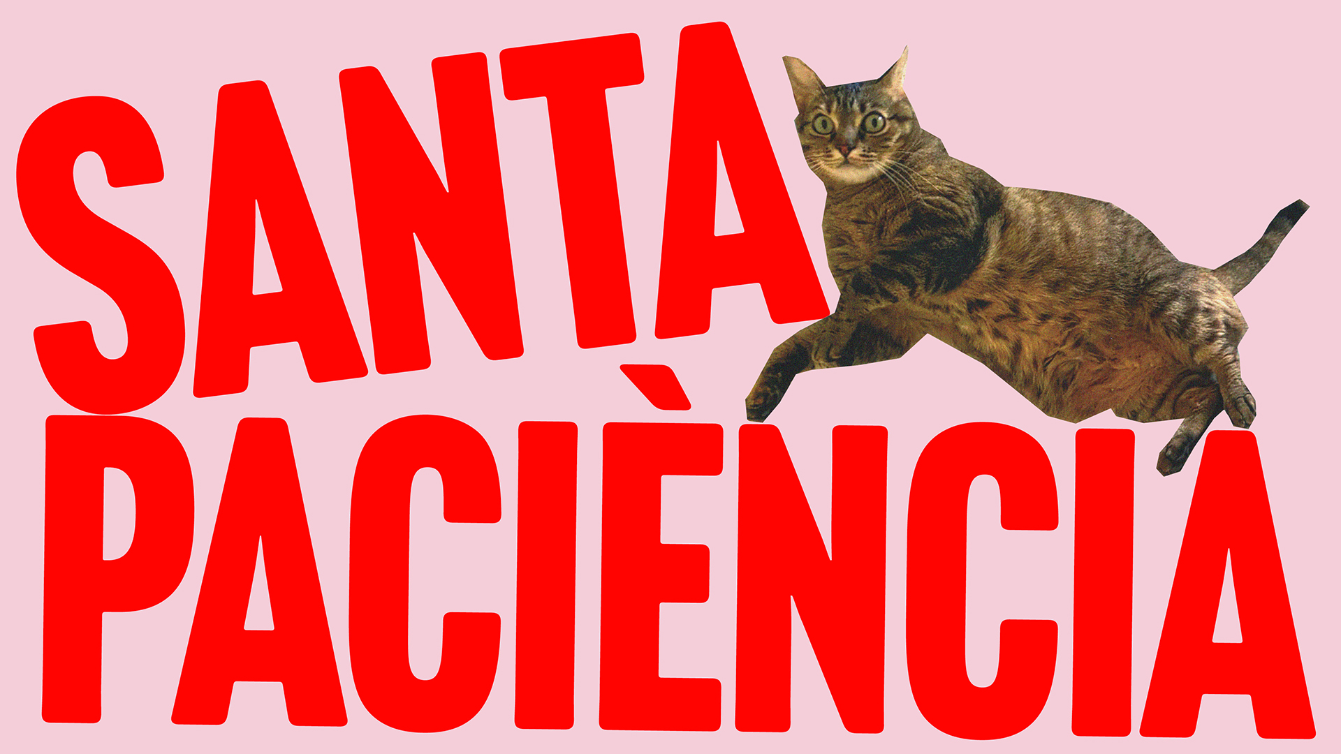 Santa paciència amb Ana Polo – Episodi 3