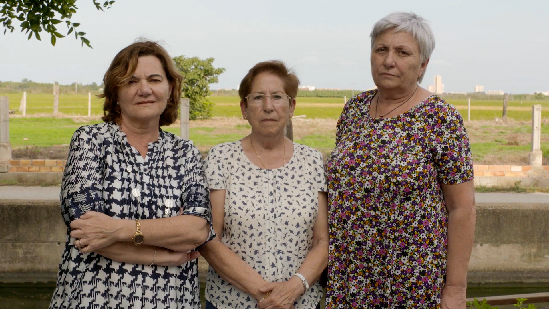 Portada El Palmar