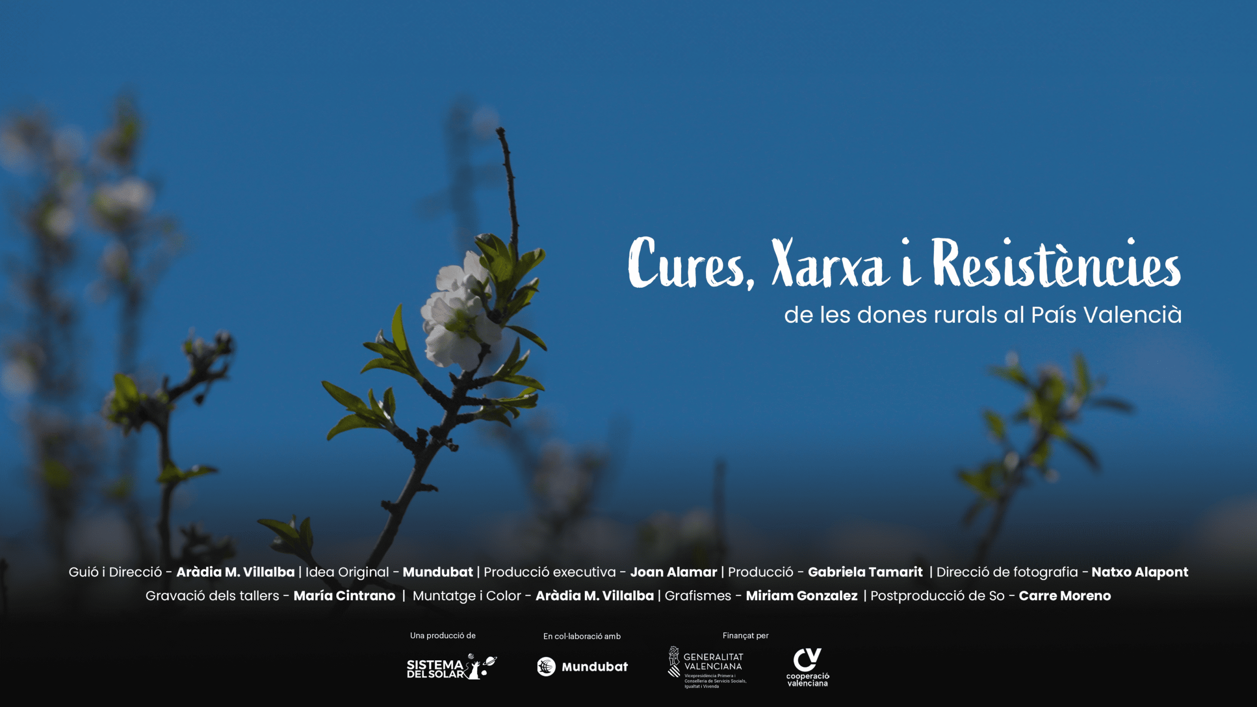 Cures, Xarxa i Resistències_16x9